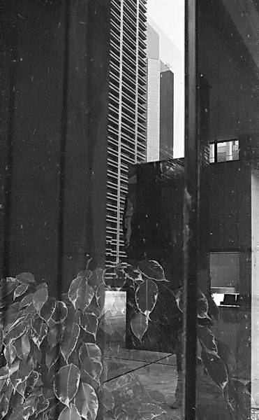 Paris (C) Peter Marshall, 1984