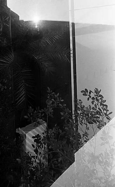 Paris (C) Peter Marshall, 1984