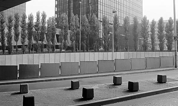 Paris (C) Peter Marshall, 1984