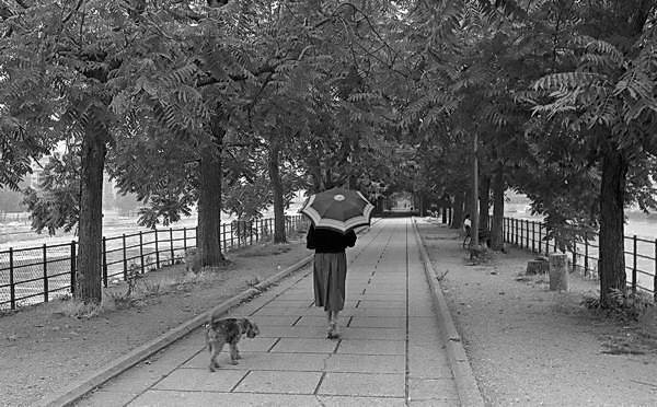 Paris (C) Peter Marshall, 1984