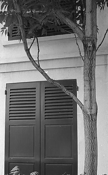 Paris (C) Peter Marshall, 1984