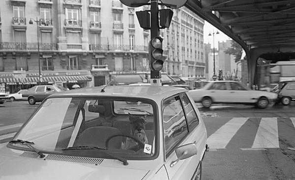 Paris (C) Peter Marshall, 1984