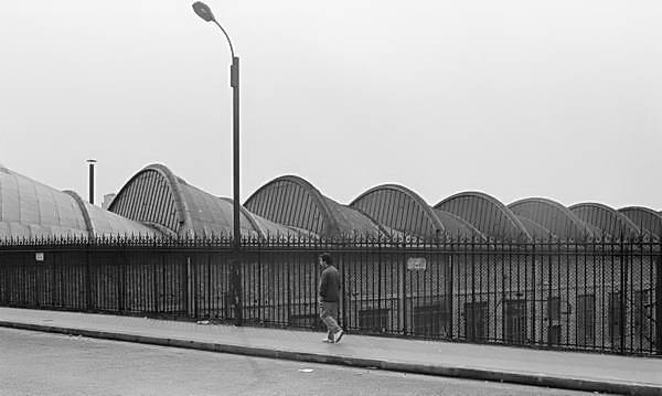 Paris (C) Peter Marshall, 1984