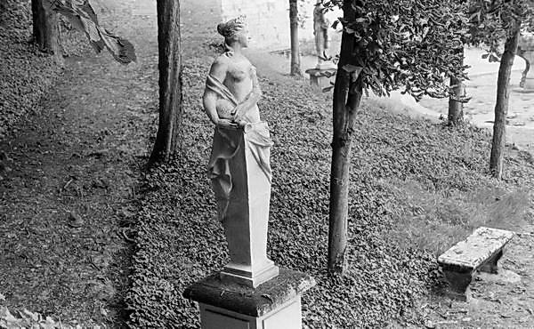 Paris (C) Peter Marshall, 1984