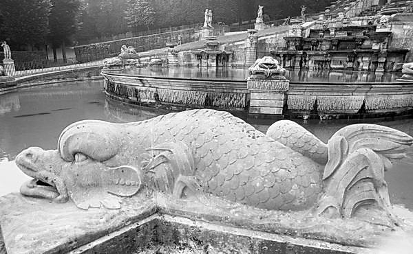 Paris (C) Peter Marshall, 1984