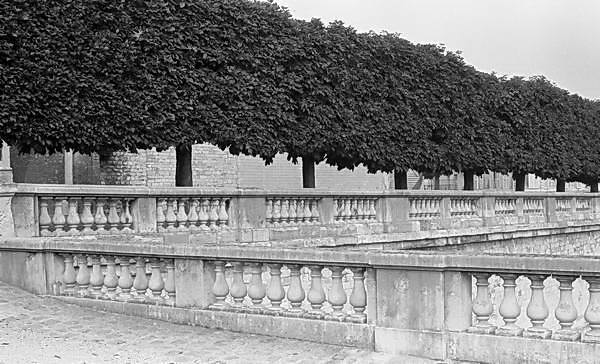 Paris (C) Peter Marshall, 1984