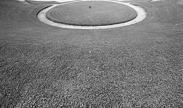 Paris (C) Peter Marshall, 1984