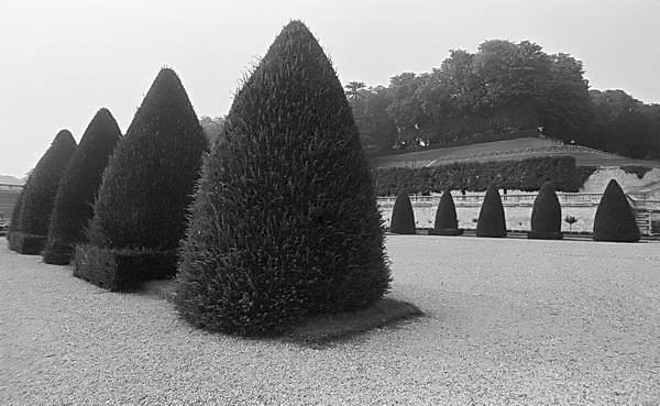 Paris (C) Peter Marshall, 1984