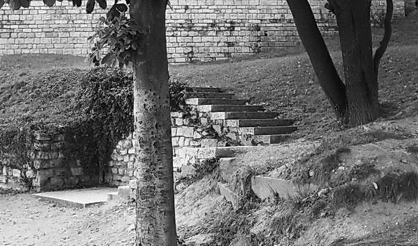 Paris (C) Peter Marshall, 1984