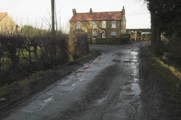 Picture © Peter Marshall, 2004