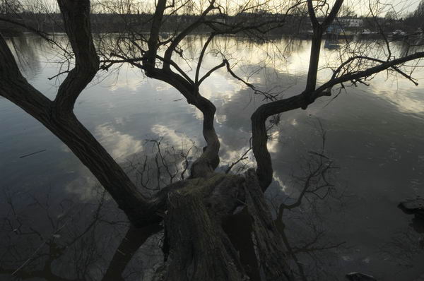 Picture © Peter Marshall, 2004