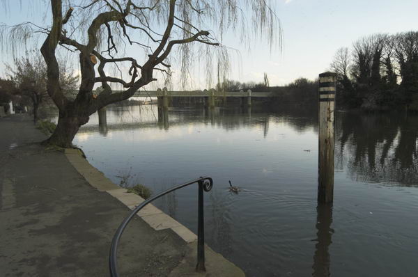 Picture © Peter Marshall, 2004