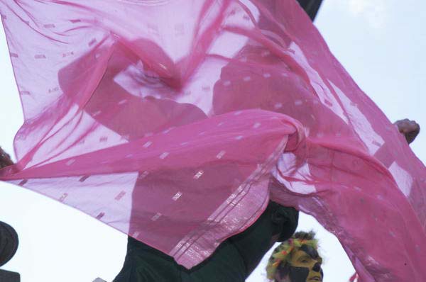 Picture © Peter Marshall, 2004