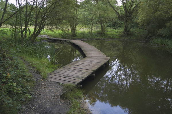 Picture © Peter Marshall, 2004