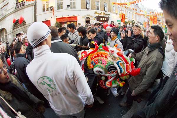 Chinese New Year of the Dog