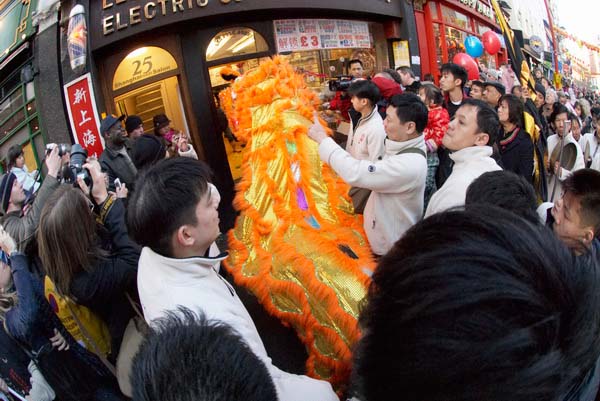 Chinese New Year of the Dog