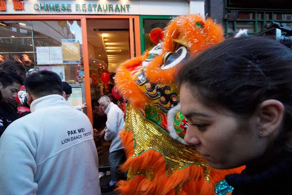 Chinese New Year of the Dog