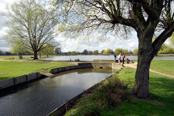 Bushy Park © 2006, Peter Marshall