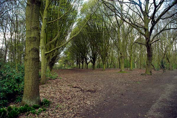 Bushy Park © 2006, Peter Marshall