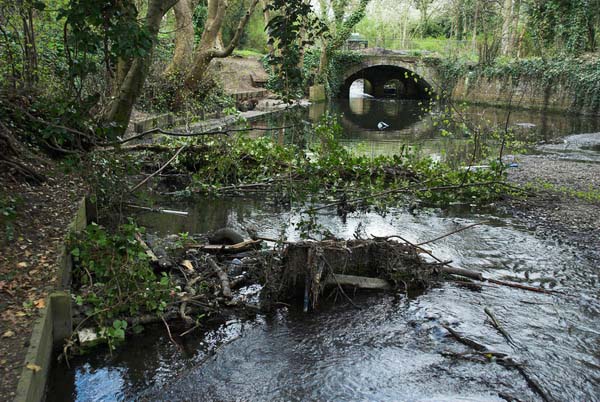 Hounslow Heath © 2006, Peter Marshall