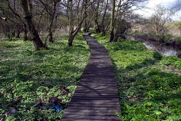 Feltham © 2006, Peter Marshall