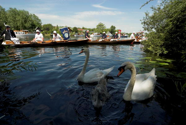 Swan Upping © 2006, Peter Marshall