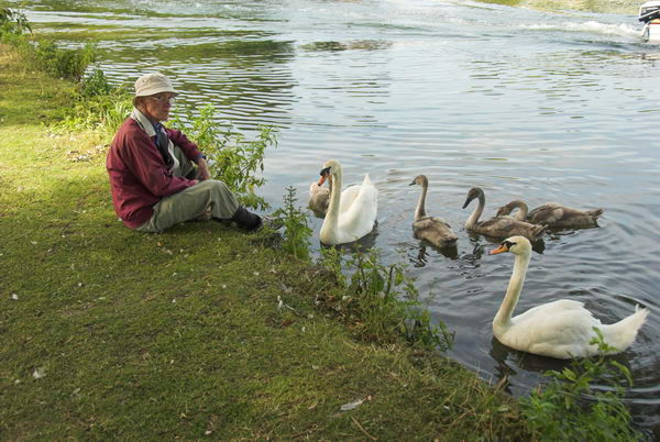 Swan Upping © 2006, Peter Marshall