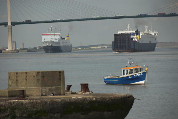 Greenhithe + Swanscombe Marshes © 2006, Peter Marshall