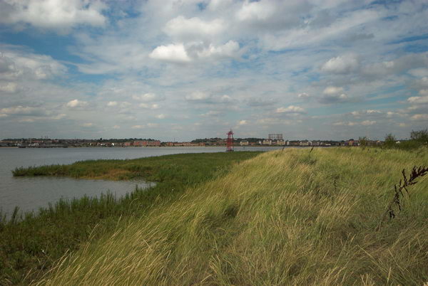 Greenhithe + Swanscombe Marshes © 2006, Peter Marshall