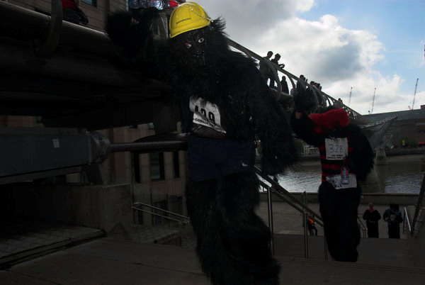 Great Gorilla RUn © 2006, Peter Marshall