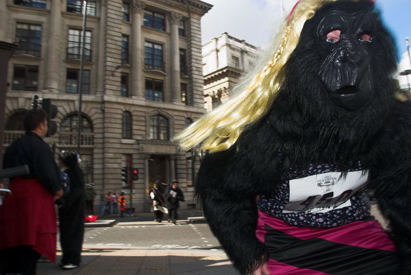 Great Gorilla Run © 2006, Peter Marshall