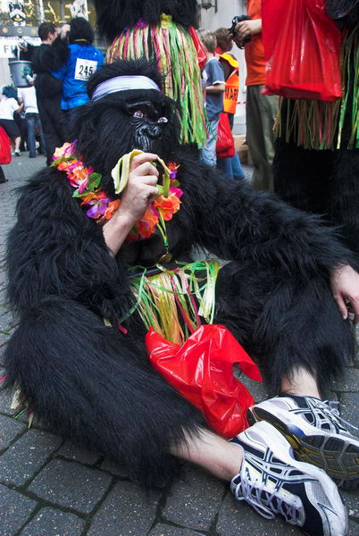 Great Gorilla Run © 2006, Peter Marshall