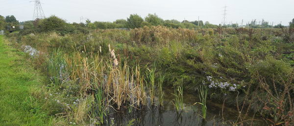 Tottenham to Walthamstow © Peter Marshall, 2006