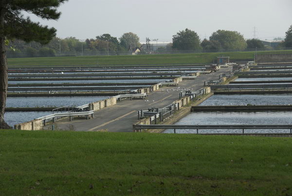 Tottenham to Walthamstow © Peter Marshall, 2006