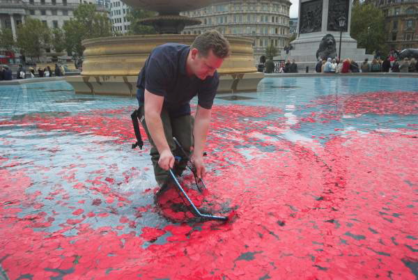 Poppies in the Fountains © Peter Marshall, 2006