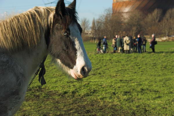 Leyton Lammas Lands © Peter Marshall, 2006 