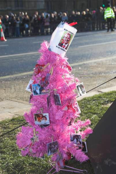 Parliament Square Protest 2007 © Peter Marshall, 2007