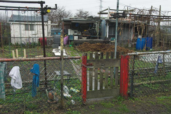 Manor Garden Allotments, Hackney Wick © Peter Marshall, 2007
