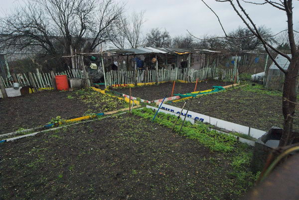 Manor Garden Allotments, Hackney Wick © Peter Marshall, 2007