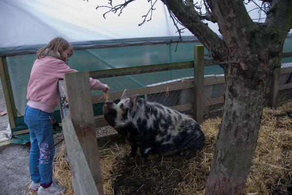 Spitalfields Urban Farm © 2007, Peter Marshall