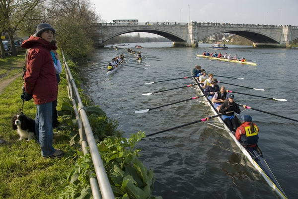 Head of the River Race © 2007, Peter Marshall
