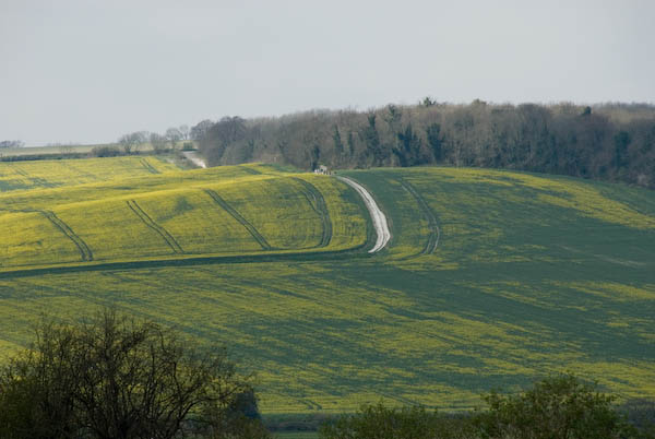 Amberley, Sussex © 2007, Peter Marshall