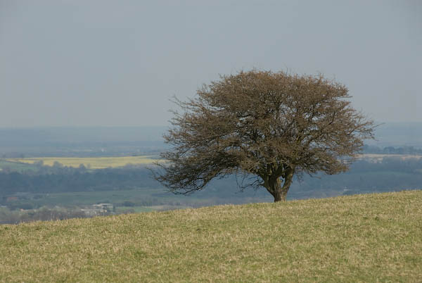 Amberley, Sussex © 2007, Peter Marshall