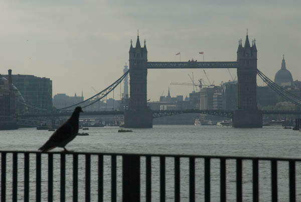 Bermondsey & Rotherhithe © 2007, Peter Marshall