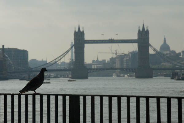 Bermondsey & Rotherhithe © 2007, Peter Marshall