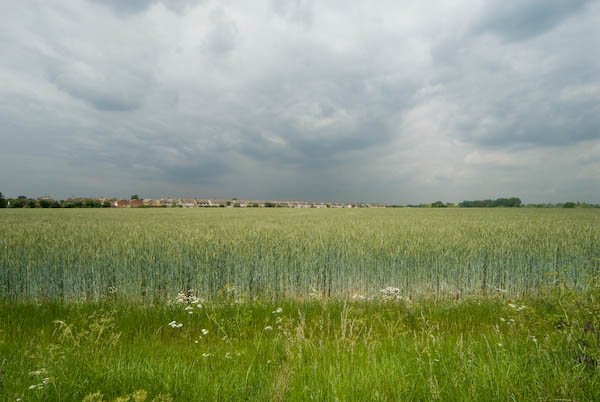 Thames Gateway, Essex © 2007, Peter Marshall