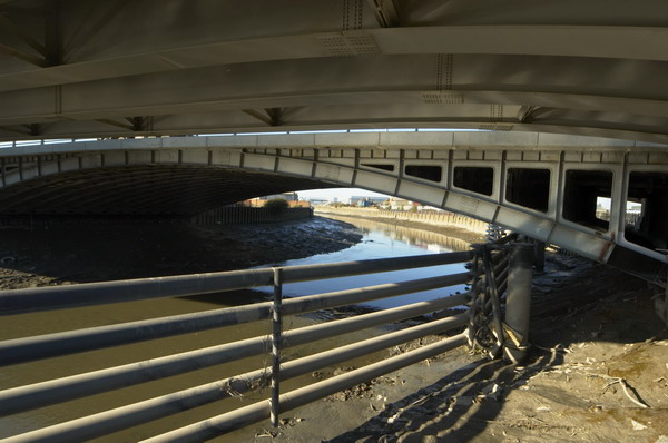 Bow Creek (C) 2005, Peter Marshall