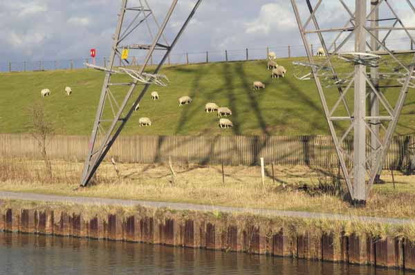 Enfield, (C) 2004-5, Peter Marshall