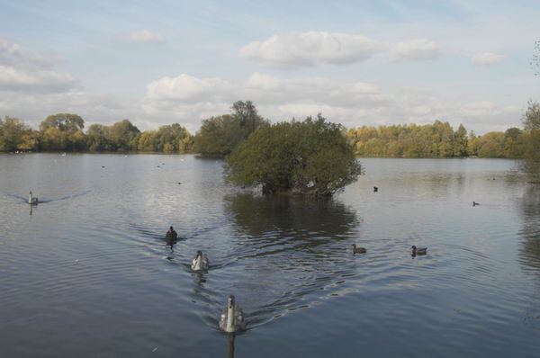 Waltham Abbey (C) 2004-5, Peter Marshall