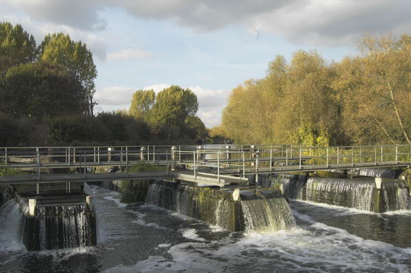 Cheshunt (C) 2004-5, Peter Marshall